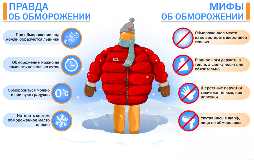 moroz