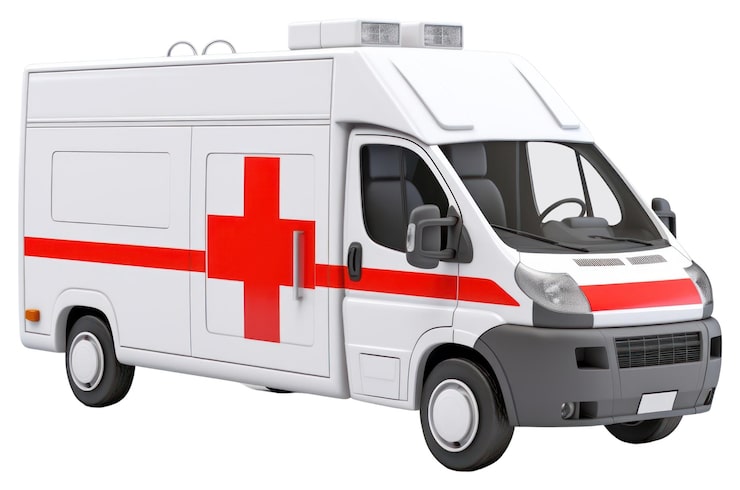 Транспортировка гражданина в сопровождении медицинского работника  по желанию гражданина при отсутствии медицинских показаний на автомобиле МАЗ - Купава