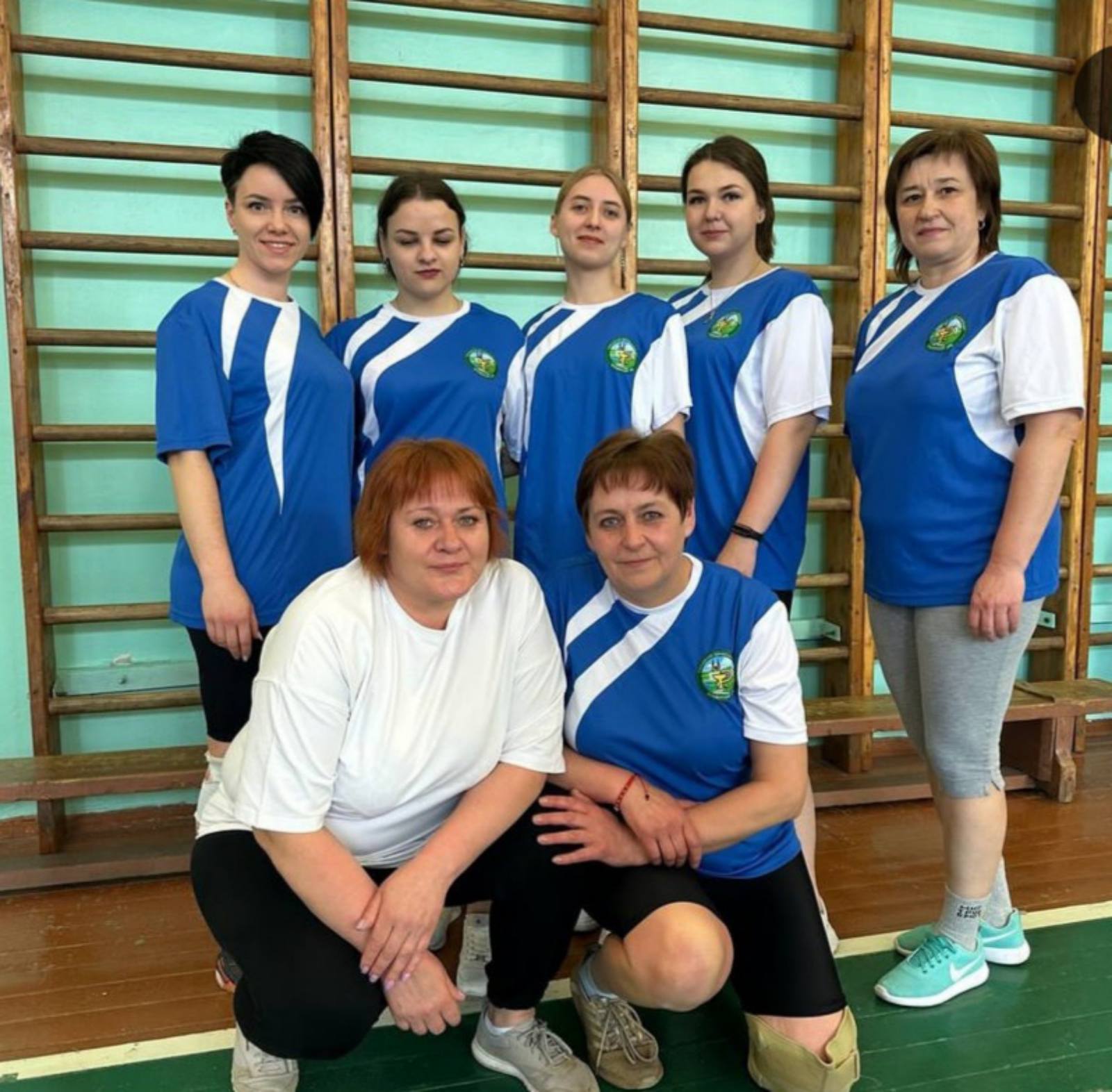 voleibol